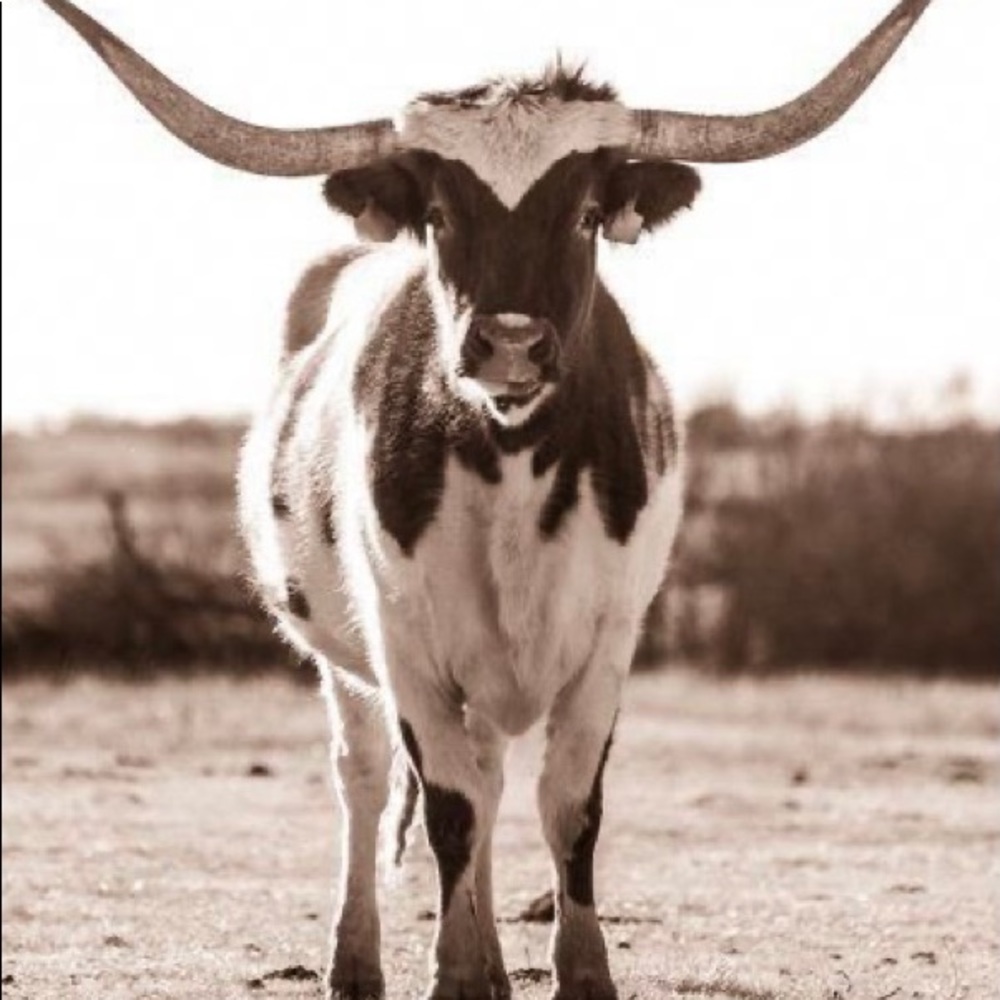 Meet your Posher, Cathleen